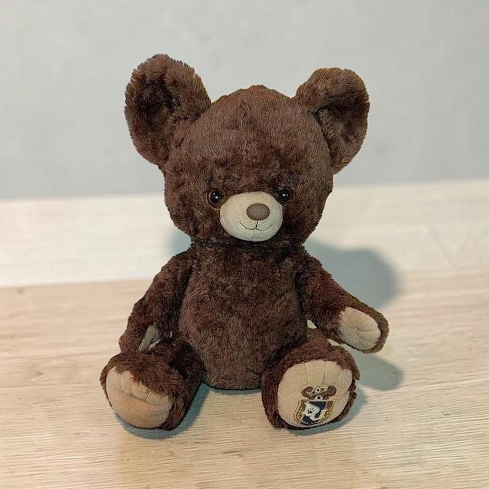 Japan Import UniBearsity Bear